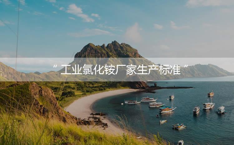 工業(yè)氯化銨廠家生產(chǎn)標(biāo)準(zhǔn)，生產(chǎn)過程進(jìn)行嚴(yán)密的監(jiān)控！