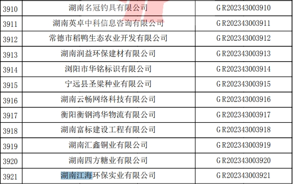 2023年湖南江海，“高新技術企業(yè)”復審順利通過！